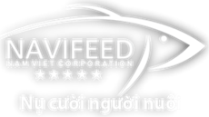 footer-logo