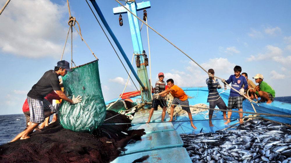 Những Khó Khăn Mà Ngành Khai Thác Thủy Sản Đông Nam Á Đang Gặp Phải