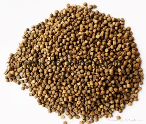 Thức Ăn Thủy Sản Và Những Kiến Thức Cần Biết || Kiến Thức Khác