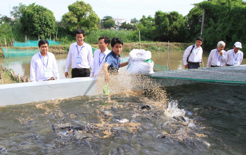 Những Điều Cần Lưu Ý Khi Chọn Mua Thức Ăn Thủy Sản