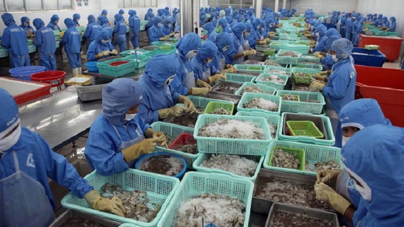 Xuất Khẩu Thuỷ Hải Sản Tăng Trong Năm 2019