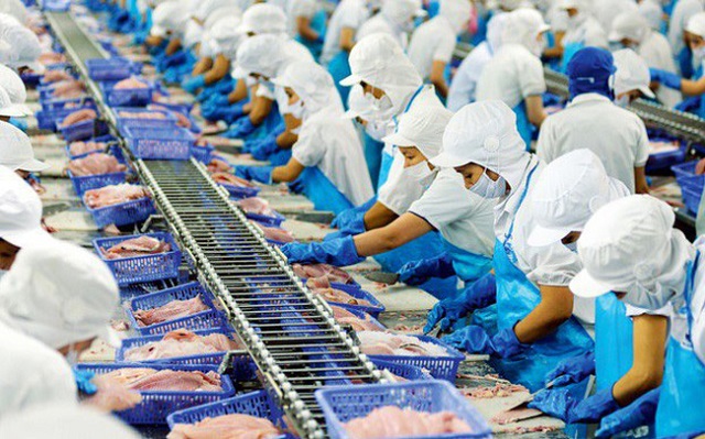 Xuất khẩu cá tra sang Đông Nam Á tăng 14,6%