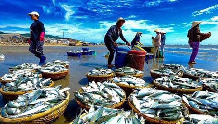 Vai Trò Của Hội Nghề Cá Và Ngư Dân Trong Bảo Vệ Chủ Quyền Biển, Đảo