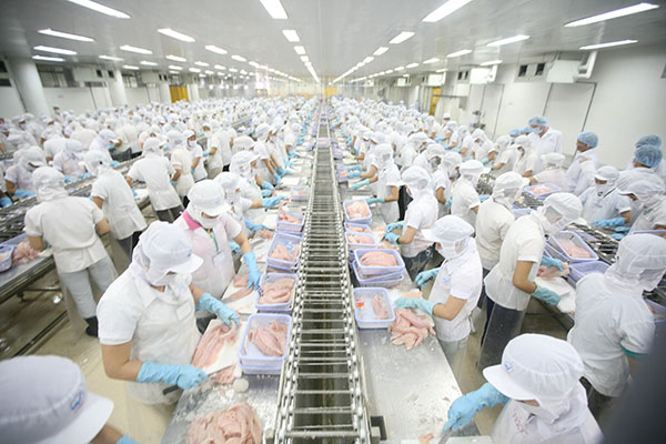 NAVICORP Đạt Lợi Nhuận Sau Thuế 510 Tỷ Đồng